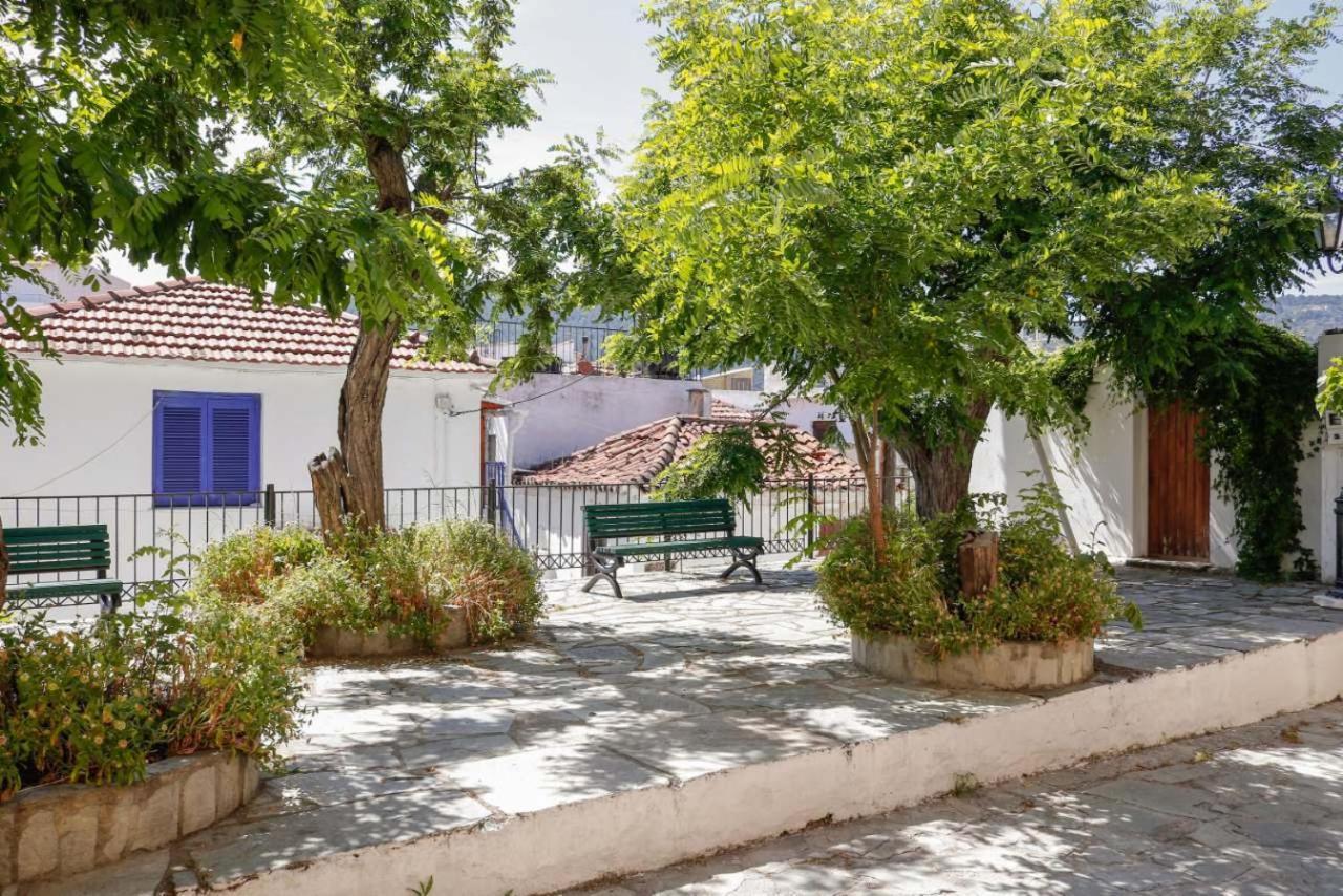 Ilioditi مدينة سكياثوس المظهر الخارجي الصورة